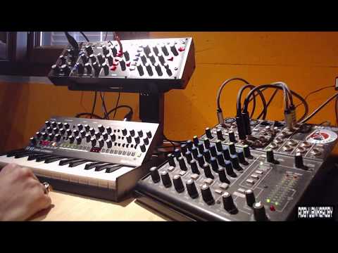 2 voice 6 Osc Analog Monster!!! Roland Se-02 + Behringer Model D