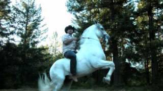 el taka taka el chapo de sinaloa.wmv