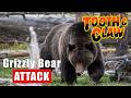 Bram vs. the Brown Bear | Tooth & Claw Podcast