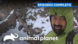 Thumbnail del capítulo