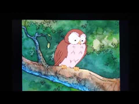 Owl - Where Lucy Went