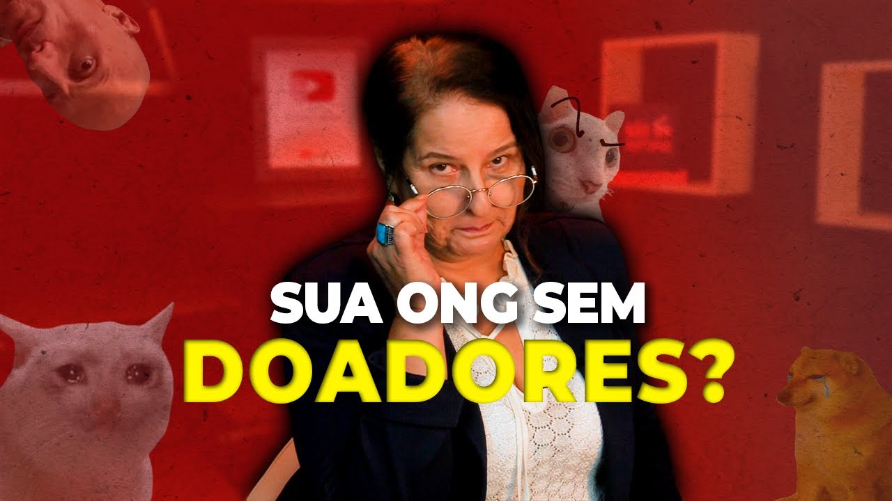 ONGs: 5 Dicas infalíveis para conseguir patrocínios! | Revicont