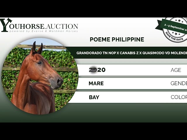 Poême Philippine under the saddle