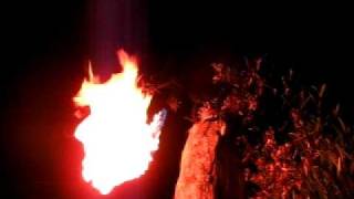 preview picture of video 'Fire Breathing Dragon sculpture - Taliesin West'