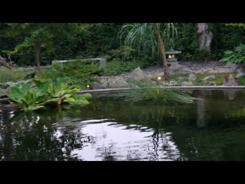 Belysning kring dammen