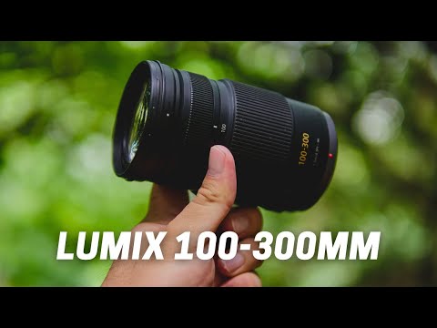 Video thumbnail for Video Review 1