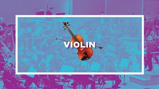 The Violin