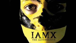 IAMX After Every Party I Die