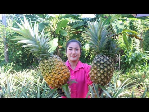 Giant pineapple is grown in grandma's back yard / 2 recipes with pineapple / Cooking with Sreypov