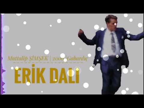 Muttalip ŞİMŞEK Erik Dalı #erikdalı