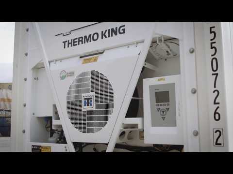 download lagu mp3 mp4 Refrigerated Shipping Containers For Sale Uk, download lagu Refrigerated Shipping Containers For Sale Uk gratis, unduh video klip Refrigerated Shipping Containers For Sale Uk