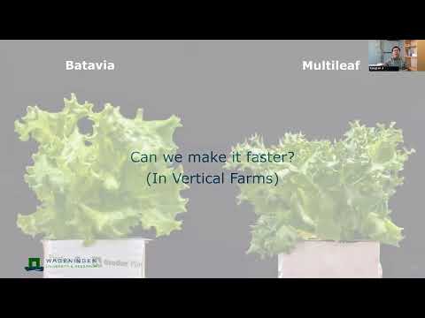 #62 - Faster-than fast: accelerating flowering for the speed breeding of lettuce with far-red radiation