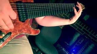 Forsythia - King Fallacy - Guitar Playthrough