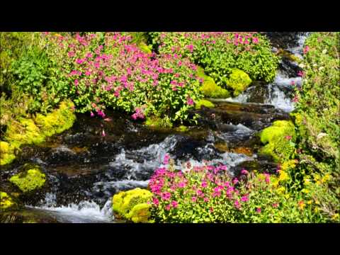 Relaxing Woodwind Music - Tranquil Water Sounds - Flute, Clarinet, Oboe, Bassoon, Guitar,