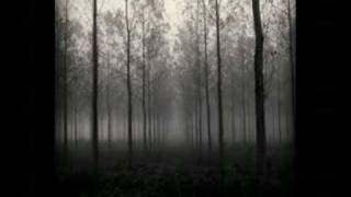 Taake  - Hordalands Doedskvad Pt 7