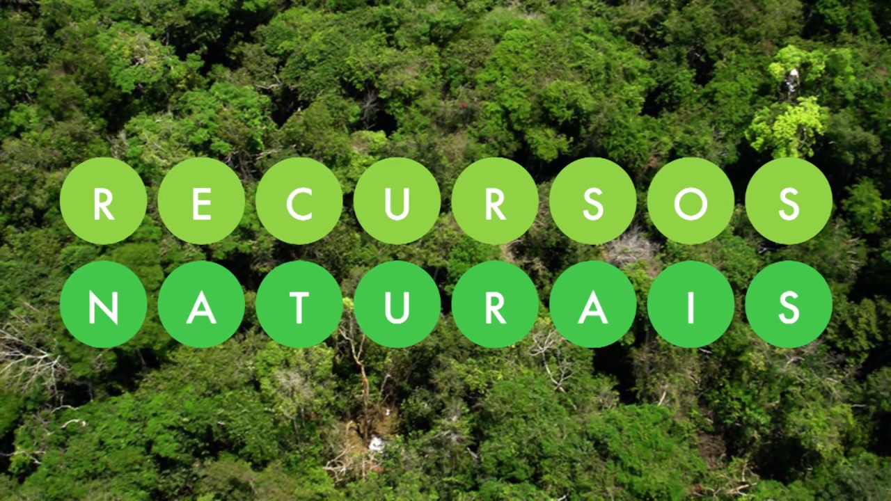 Parte I - Uma breve história do Código Florestal