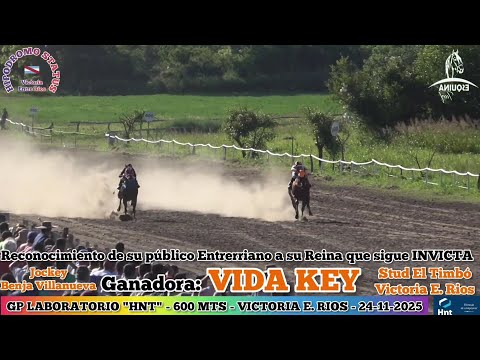 VIDA KEY (Victoria E. R.) Hipodromo Status  Victoria E. Rios - 24-11-2025