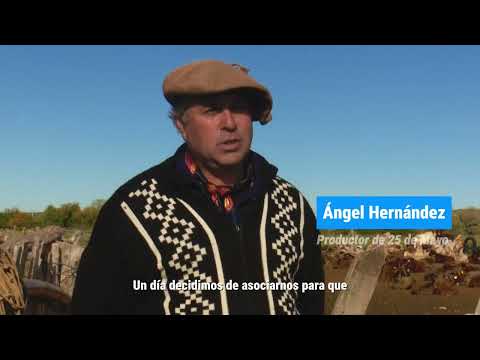 Testimonios de productores - Capacitaciones de Producción de Quesos de Cabra (25 de Mayo - La Pampa)