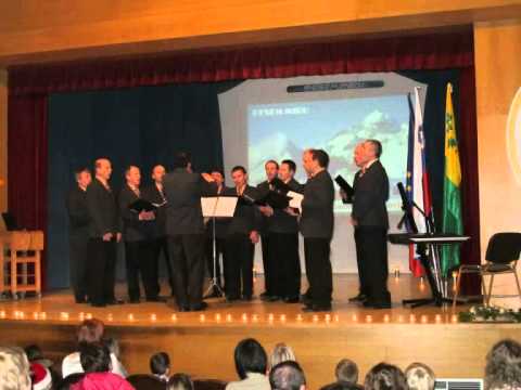 Karlinca je štemana