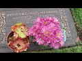 Grave Seeking at Forest Lawn Memorial Park in Long Beach Part 1