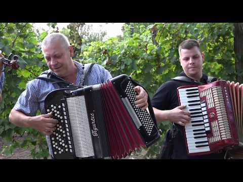 Pazovsky Orchster Mala som ja rozmarienok, Po nábreží koník beží, Na prostried Pazova