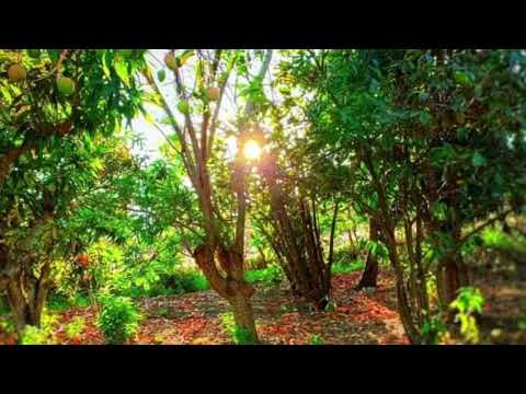 15-0125AM La Voz Sonando "¡Sube Acá!"