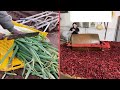 Satisfying Videos of Workers That Work Extremely Well, I Can't Stop Watching It !#1