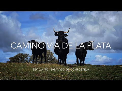 Via de la Plata 1007 km Seville to Santiago - Camino de Santiago in 37 days vía Sanabres