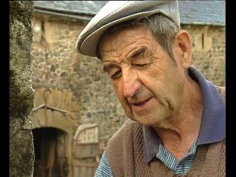 L'estiva de las vacas sus Aubrac