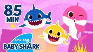 Hey there, Shark Finger Family! | +Compilation | Baby Shark Songs | Baby Shark Official