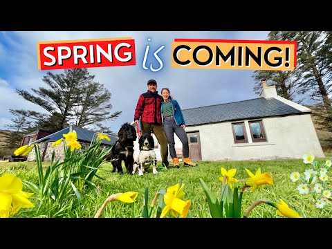 Spring Is Coming To Our Cottage On The Isle of Skye - Scottish Highlands - Ep61