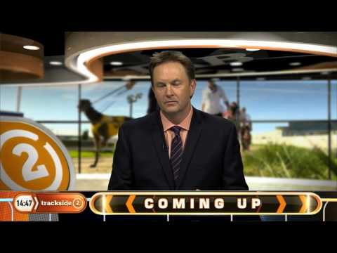 Trent Busuttin:  Tavago, Sicario, Mabeel