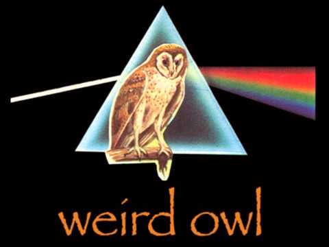 Weird Owl - No Time Nor No Space