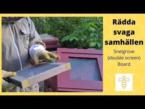 Hur räddar du svaga bisamhällen på våren