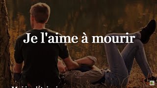 Je l&#39;aime à mourir - Francis Cabrel  (Paroles)