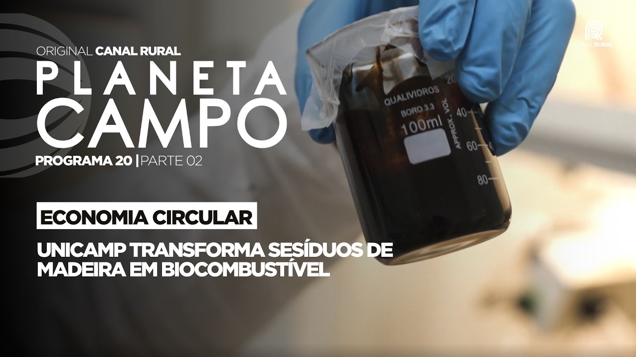 Unicamp transforma resíduos de madeira em biocombustível | Planeta Campo - Ep. 20 parte 2