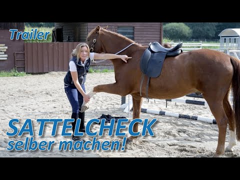 Sattel-Check selber machen - Tutorial Trailer zur Prüfung der Sattelpassform auf dem Pferderücken