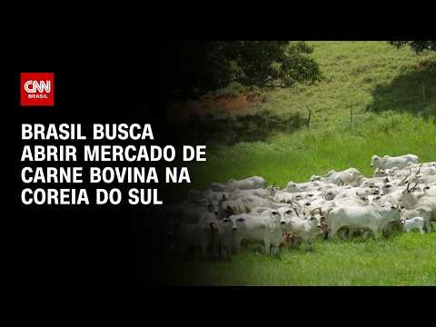 Brasil tenta abrir mercado de carne bovina na Coreia do Sul; entenda | CNN PRIME TIME
