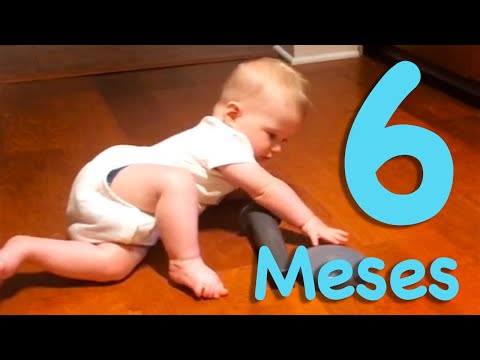 Desarrollo del Bebé de 6 Meses | Lorena Vargas Fisioterapeuta