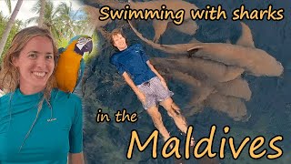 The Maldives - Islands, Beaches, Stingrays, and Sharks!