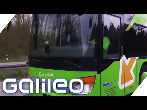 Flixbus - 4 reasons why long-distance bus rides are so cheap | Galileo | ProSieben