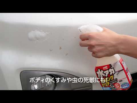 00495 ボディクリーナー 水アカストロングクリア 自動車ボディ用水アカ