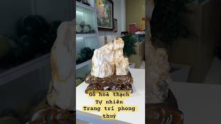 Gỗ Hóa Ngọc Hóa Thạch Hoá Ngọc Tự Nhiên Cao Cấp Trang Trí Phong Thuỷ 5.2kg-27.5cm