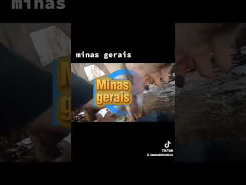 Gente estamos em Minas Gerais, santo Antônio do Amparo novas experiências #magali. 