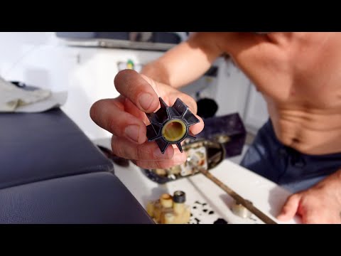 Replacing Water Pump Impeller in 20hp Tohatsu 4-stroke Outboard