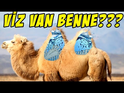 mit kezdjen a rossz lehellettel