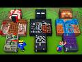 Alpha vs Tikawar: Scary Entity's Maze Statue Battle In Minecraft...