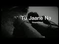 Tu Jaane Na Atif Aslam Lofi Song Solwed Reverb