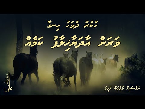 Hukuru dhuvahu hingaa varah aadhayaa khilaafu kameh - Ali Rameez