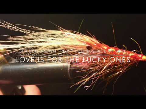 Another try for sea run browns. Swedish archipelago Nov 2016.